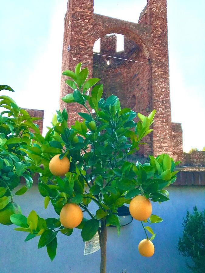 Ca' Del Sole - Attico Panoramico In Centro Storico Apartment Montagnana  Ngoại thất bức ảnh