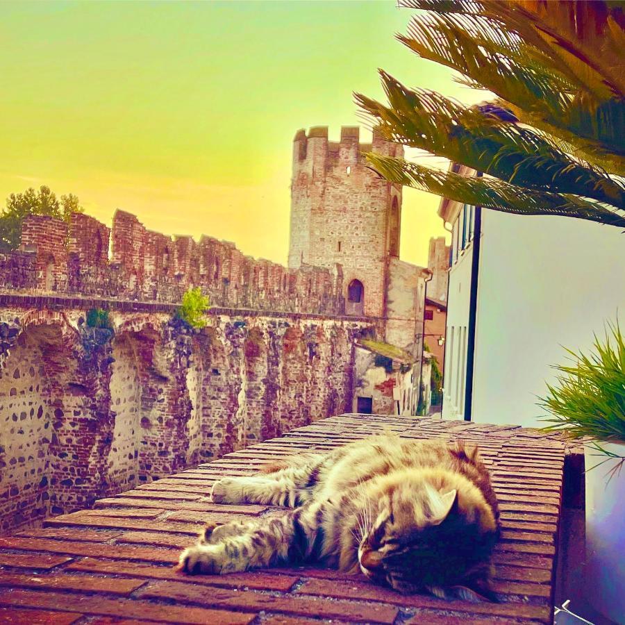 Ca' Del Sole - Attico Panoramico In Centro Storico Apartment Montagnana  Ngoại thất bức ảnh